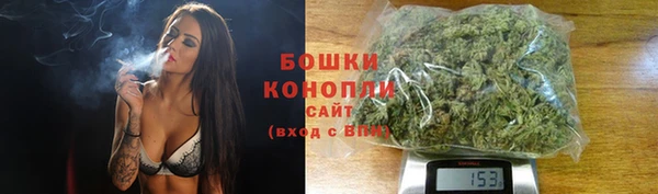 гашик Мегион