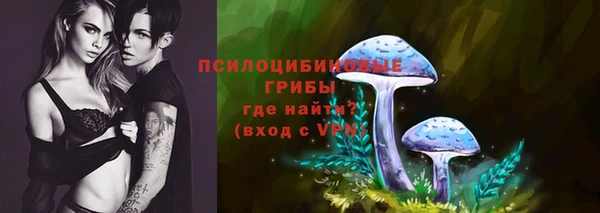 МДПВ Абинск