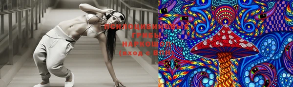 гидропоника Абдулино