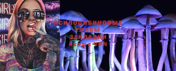 амф Алзамай