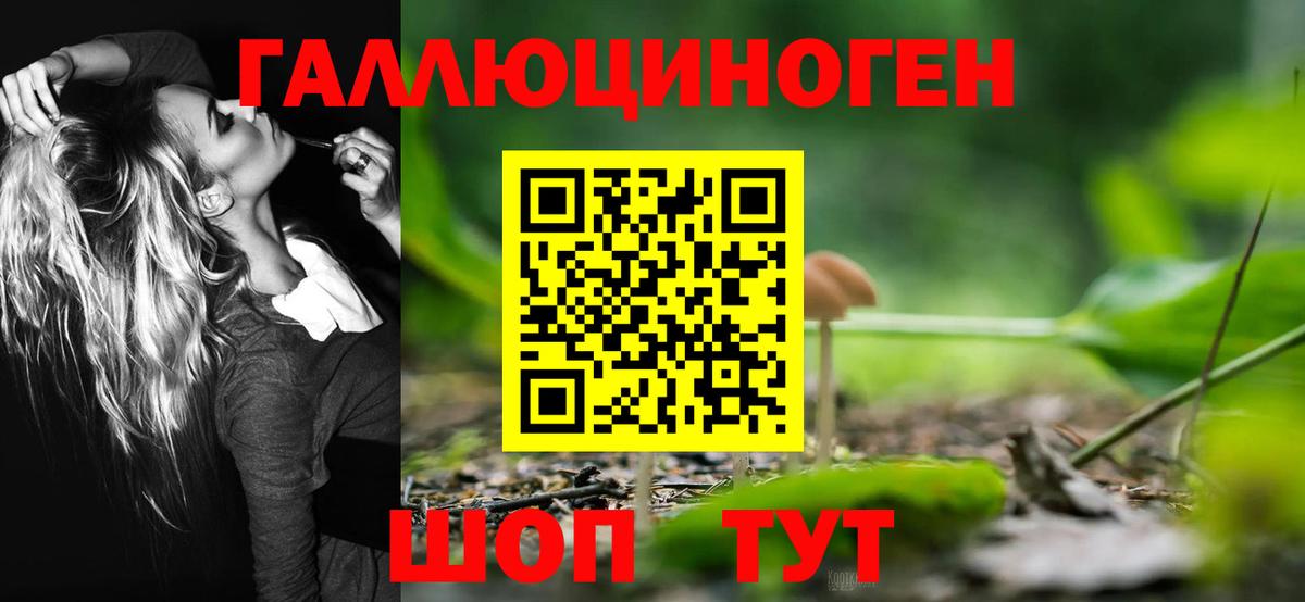 Псилоцибиновые грибы ЛСД  Вход с VPN  Галлюциногенные грибы Psilocybe  купить наркоту  Ялта 